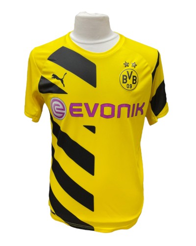 Borussia Dortmund 2014-2015 HOME