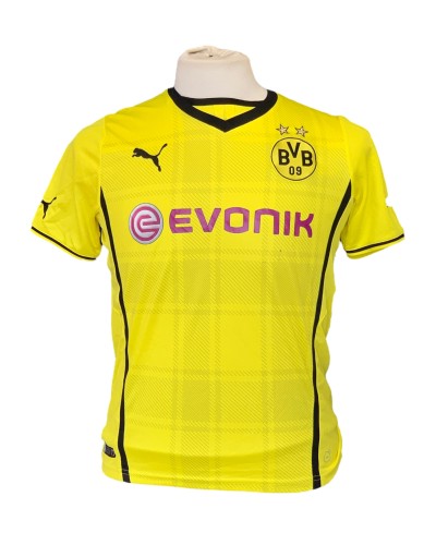 Borussia Dortmund 2013-2014 HOME