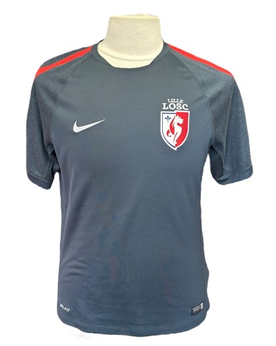 Lille 2014-2015 Training